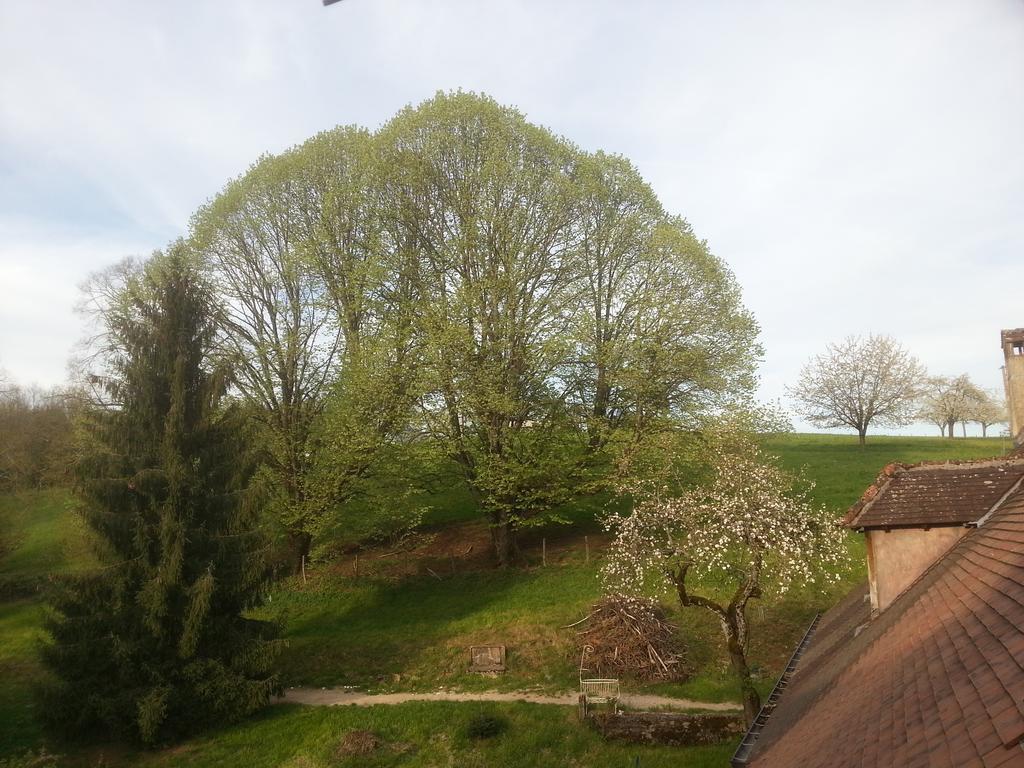 Gite Du Chateau De Feschaux, Jura Villeneuve-sous-Pymont Exterior photo