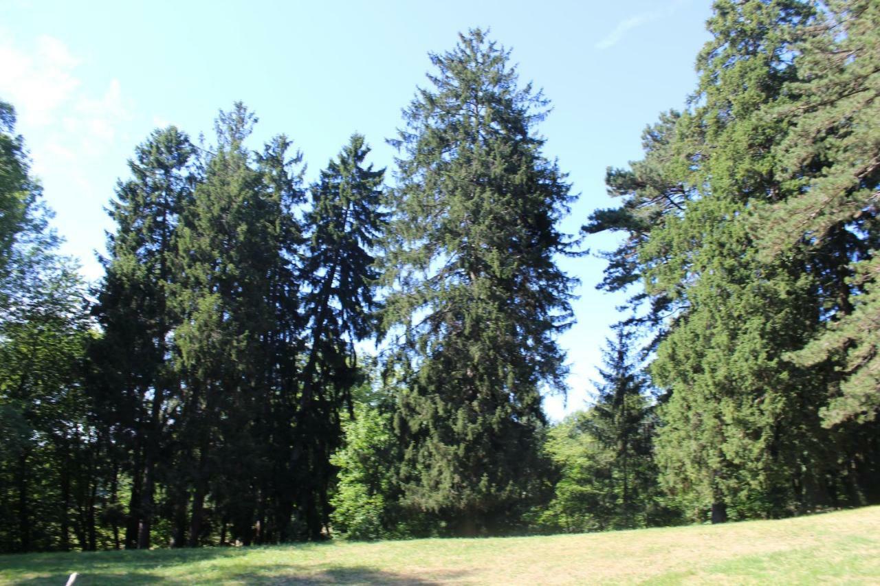 Gite Du Chateau De Feschaux, Jura Villeneuve-sous-Pymont Exterior photo